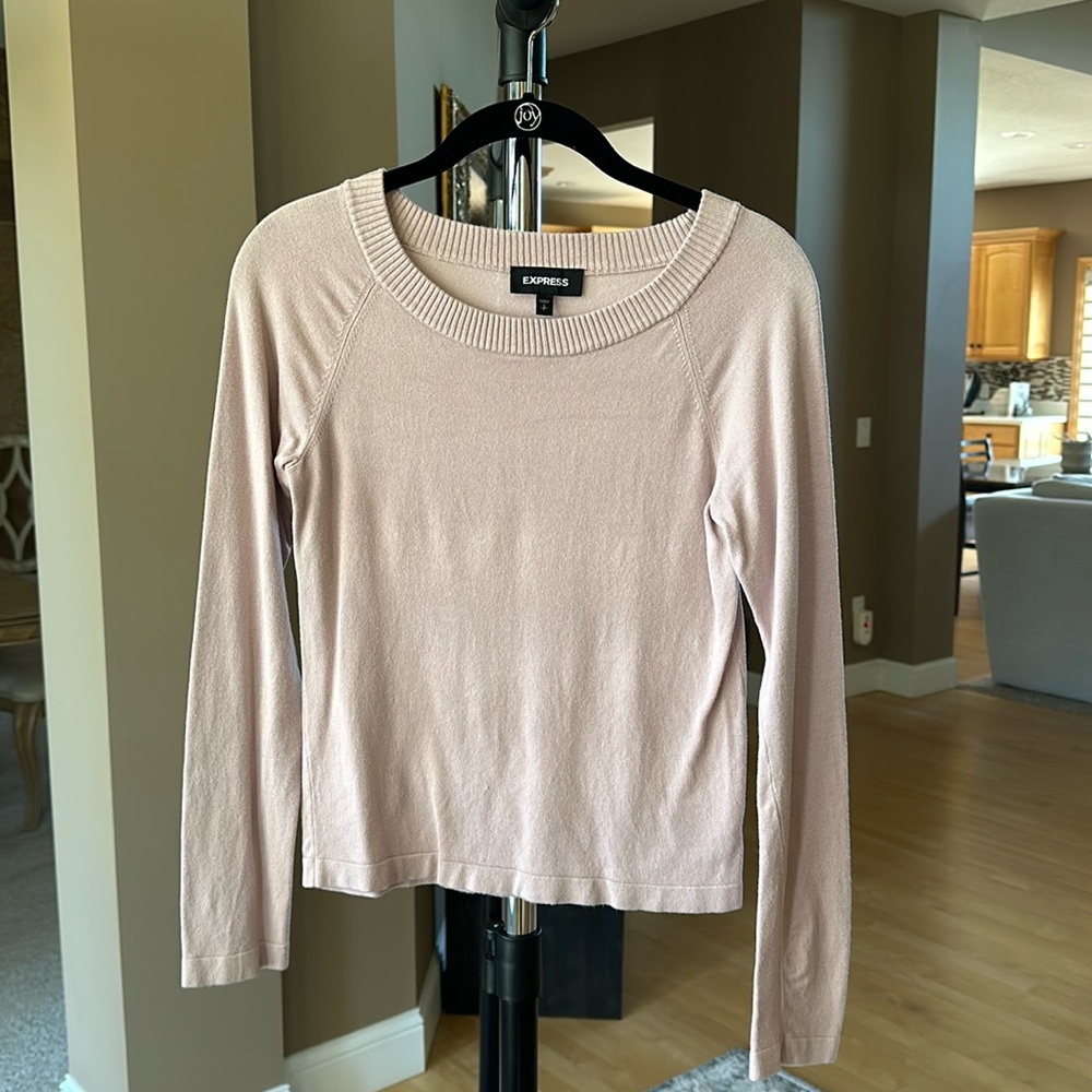 Express Pink Sweater